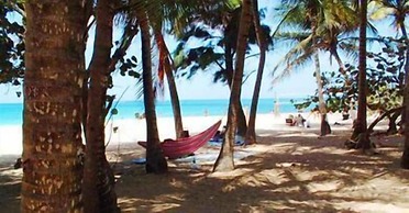 Acacia Boutique Hotel