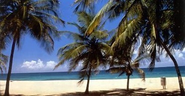 Acacia Boutique Hotel