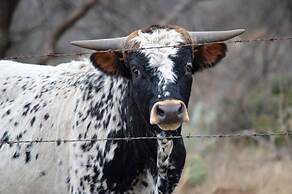 Fairfield Inn & Suites by Marriott San Angelo