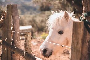 Sa Pedrissa Agroturismo – Adults Only