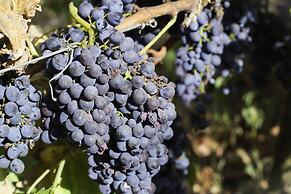 Baglio Oneto dei Principi di San Lorenzo - Luxury Wine Resort