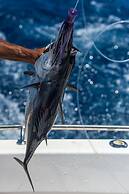 Coral Strand Smart Choice Hotel