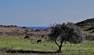 Hotel Praia do Burgau - Turismo de Natureza
