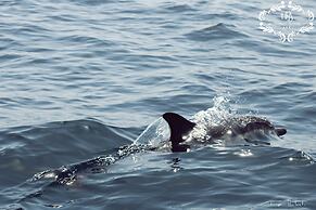Hotel Praia do Burgau - Turismo de Natureza