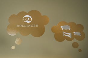 Hotel Dollinger