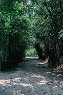 Conimbriga Hotel do Paço