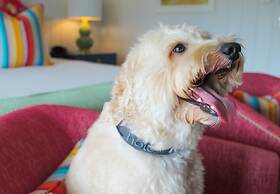 Yachtsman Hotel & Marina Club