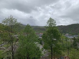 Laurel Inn Condominium