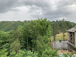 Laurel Inn Condominium