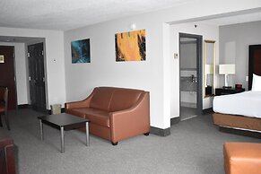 Wingate by Wyndham Atlanta Galleria/Ballpark