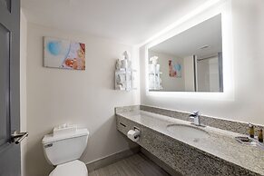 Wingate by Wyndham Atlanta Galleria/Ballpark