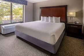 Wingate by Wyndham Atlanta Galleria/Ballpark