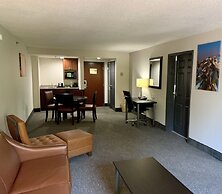 Wingate by Wyndham Atlanta Galleria/Ballpark