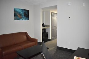 Wingate by Wyndham Atlanta Galleria/Ballpark