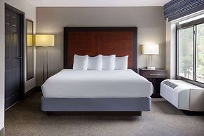 Wingate by Wyndham Atlanta Galleria/Ballpark