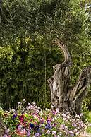 Kontokali Bay Resort & Spa