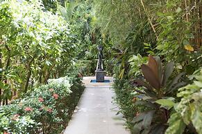 Martinique on Macrossan