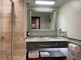 SLAVIERO Curitiba Centro