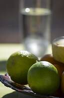 Holiday Beach Resort