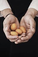 Yria Boutique Hotel & Spa