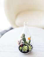 The Palm Springs Hotel