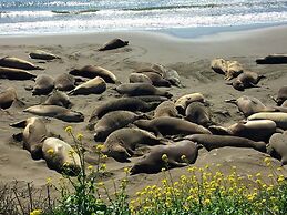 Quality Inn near Hearst Castle