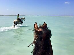 Horse Country Resort Congress & Spa - Hotel Ribot