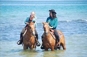 Horse Country Resort Congress & Spa - Hotel Ribot