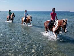 Horse Country Resort Congress & Spa - Hotel Ribot