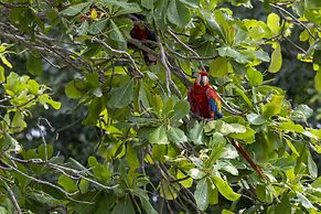 Fuego del Sol Beachfront Hotel