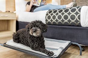 Adelaide Road Motor Lodge