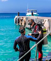 Buddy Dive Resort