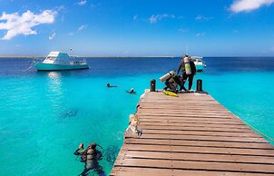 Buddy Dive Resort
