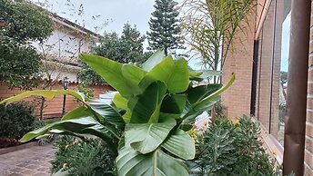 Euro House Inn Airport