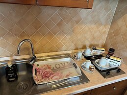 Euro House Inn Airport