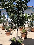 Reutlingenhof Boutique Hotel - Special Class