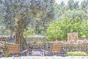 Hotel Rural S'Olivaret & Spa