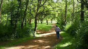 The Grand Hotel - Salem