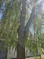 Campanile Deauville St Arnoult