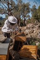 Son Brull Hotel & Spa