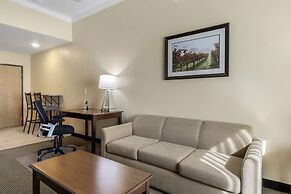 Best Western Plus Grapevine Inn