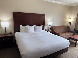 Comfort Inn Early Brownwood