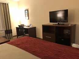Comfort Inn Early Brownwood