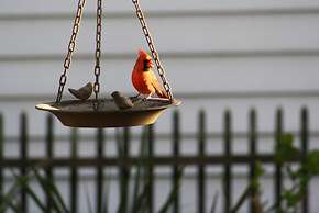 Pecan Tree Inn