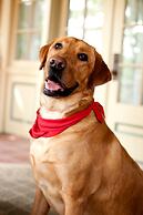 B. F. Hiestand House Bed & Breakfast