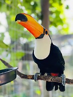 Hotel Solar do Imperador