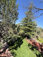 Casa Sedona Inn - Adults Only