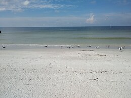 South Beach Oceanfront Resort