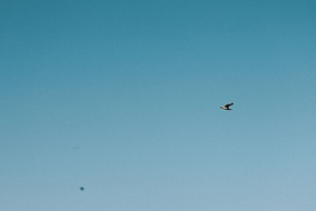 Alfred Hotels Monaco - ex Forum - Hôtel rénové