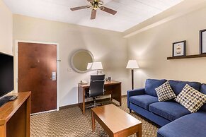 Comfort Suites Columbia Gateway